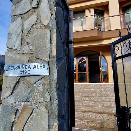 Pensiunea Alex Cheia  Zewnętrze zdjęcie